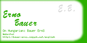 erno bauer business card